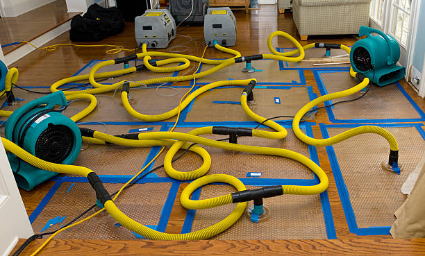 Professional Basement Flood Cleanup technician working in Georgia, GA
